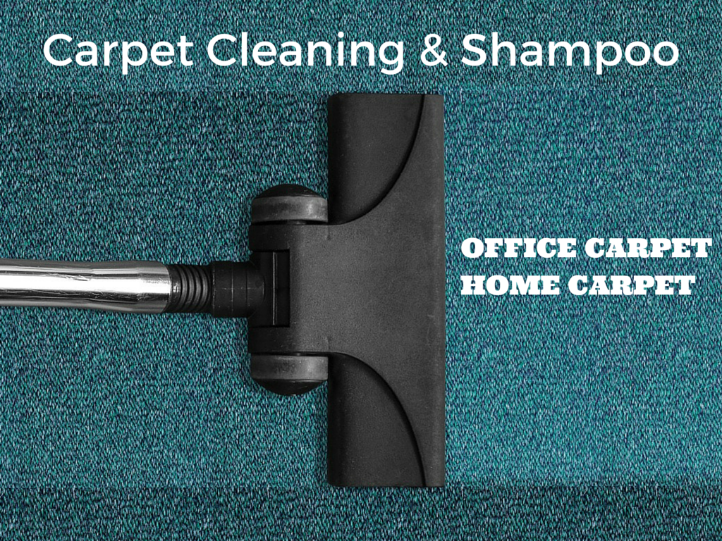 Carpet Cleaning &Shampoo