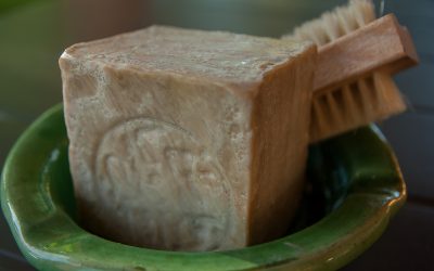 Best Way to Clean a Bar of Soap that Fell in the Toilet Bowl